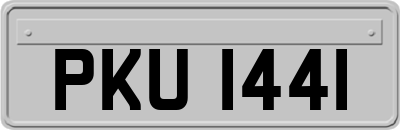 PKU1441