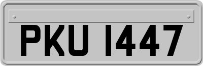 PKU1447