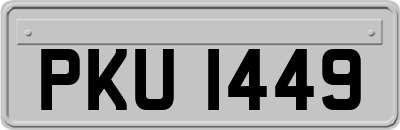 PKU1449