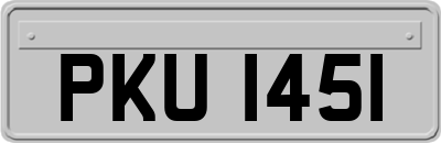 PKU1451