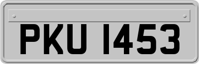 PKU1453