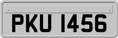 PKU1456