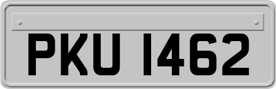 PKU1462