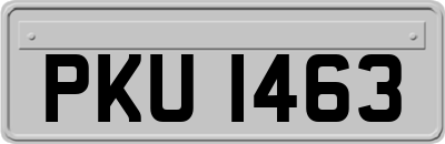 PKU1463
