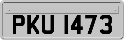 PKU1473