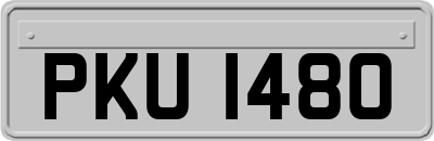 PKU1480