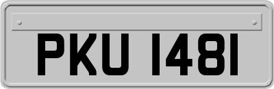 PKU1481