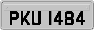 PKU1484