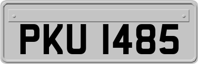 PKU1485