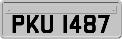 PKU1487