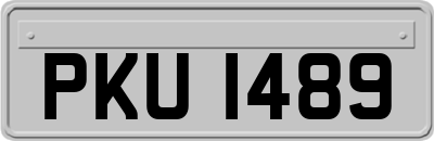 PKU1489