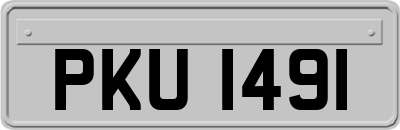 PKU1491