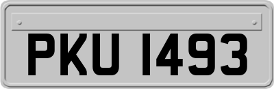 PKU1493