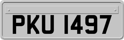PKU1497