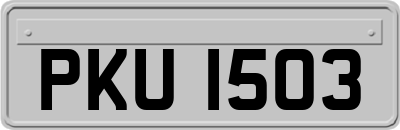PKU1503