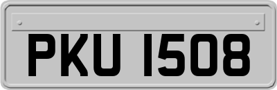 PKU1508