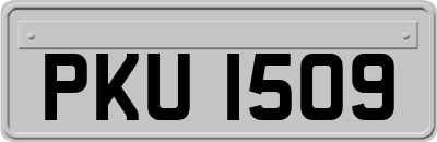PKU1509