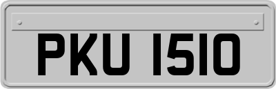 PKU1510