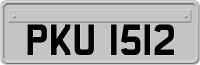 PKU1512