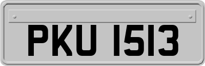 PKU1513