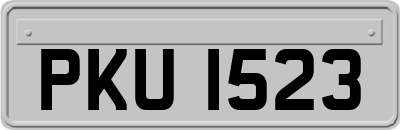 PKU1523