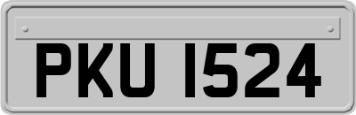 PKU1524