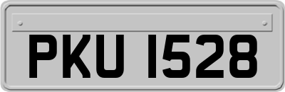 PKU1528
