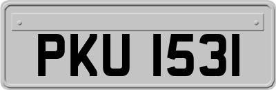 PKU1531