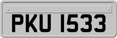 PKU1533