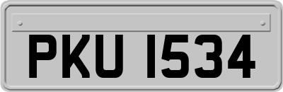 PKU1534