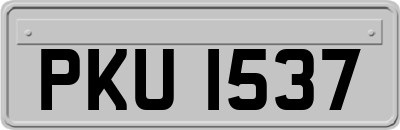 PKU1537