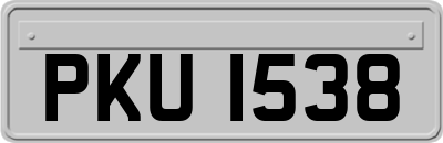 PKU1538