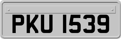 PKU1539