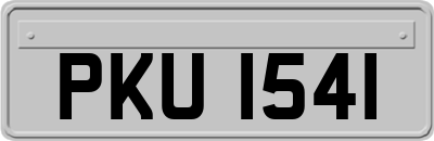 PKU1541