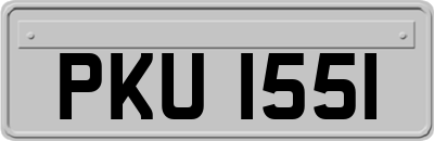 PKU1551