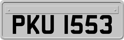 PKU1553