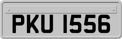 PKU1556