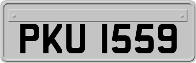 PKU1559