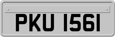 PKU1561
