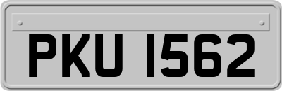 PKU1562