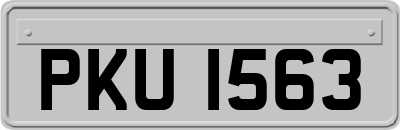 PKU1563
