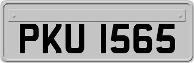 PKU1565