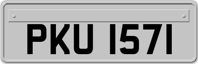 PKU1571