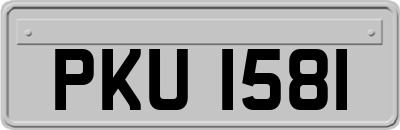 PKU1581