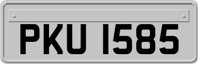 PKU1585