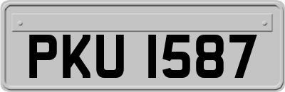 PKU1587