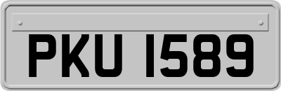 PKU1589