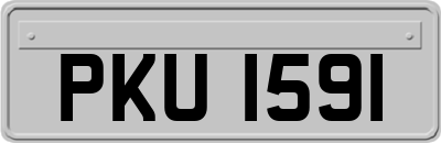 PKU1591