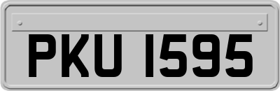 PKU1595