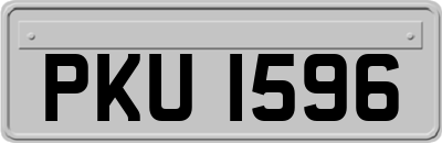 PKU1596